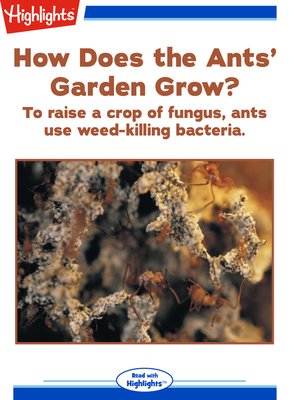 cover image of How Does the Ants' Garden Grow?